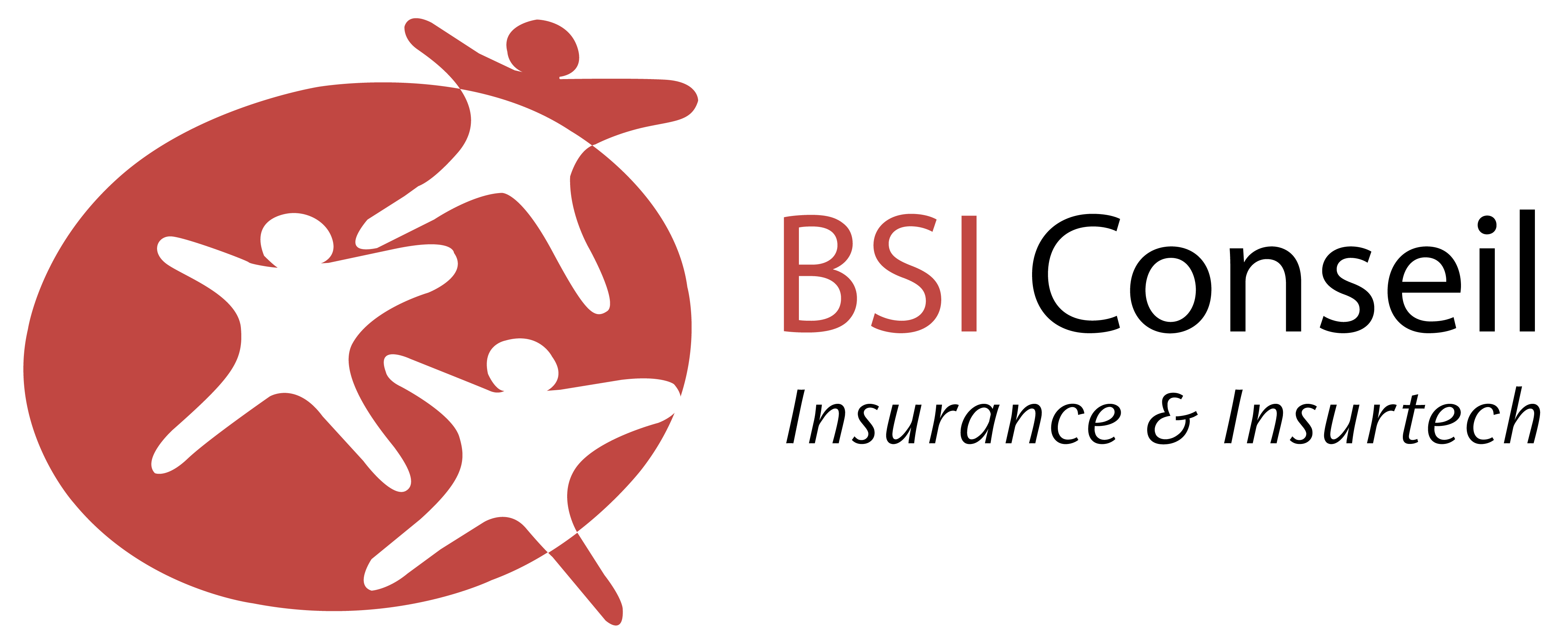 BSI Conseil