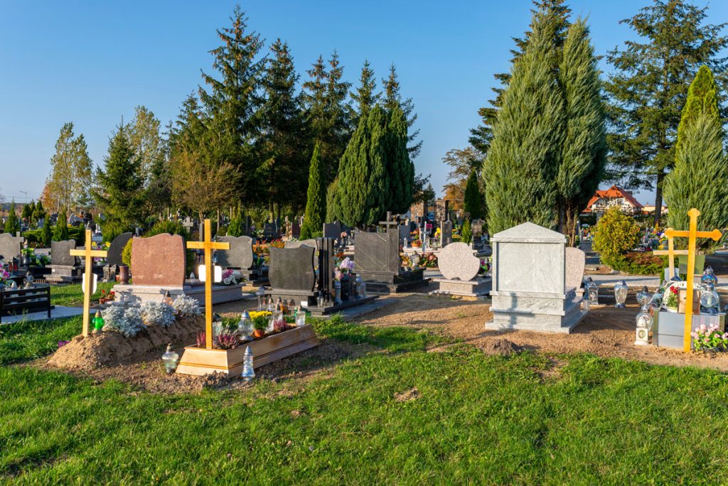 Death and Disability insurance for expats